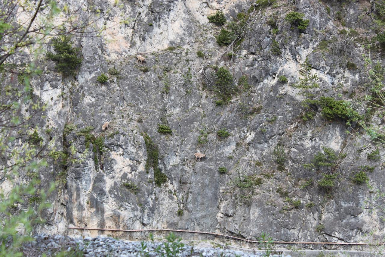 Al Bait De Gio Lägenhet Bormio Exteriör bild
